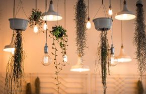 K&#xE9;p a kateg&#xF3;ri&#xE1;nak F&#xFC;ggeszt&#xE9;k l&#xE1;mp&#xE1;k