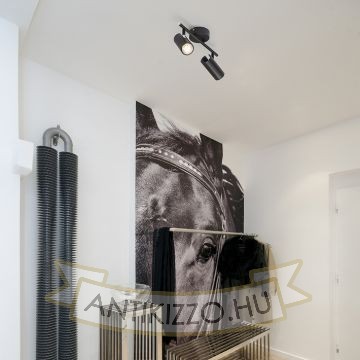 Kép BOGARD II fali lámpa matt fekete  230V LED 2x5W 40°  3000K