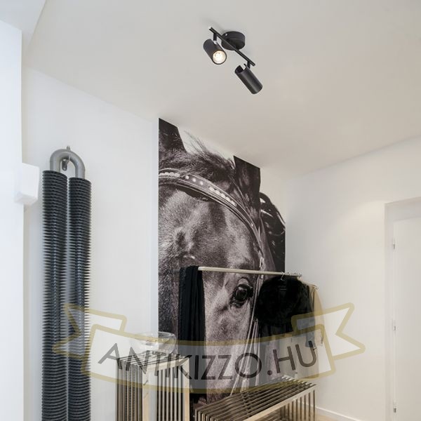 Kép BOGARD II fali lámpa matt fekete  230V LED 2x5W 40°  3000K