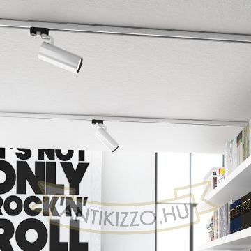 Kép FANGIO háromfázisú áramkörös sínre ezüstszürke  230V LED 25W 36°  3000K