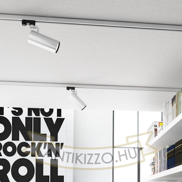 Kép FANGIO háromfázisú áramkörös sínre ezüstszürke  230V LED 25W 36°  3000K