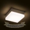 SPECTACLE felületre szerelhető ezüstszürke 230V LED 5W IP54 3000K