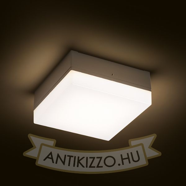 SPECTACLE felületre szerelhető ezüstszürke 230V LED 5W IP54 3000K