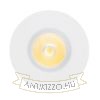 Kép KAY R süllyesztett lámpa szatén üveg 230V/350mA LED 5W 3000K