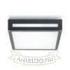 Kép PLAKA mennyezeti lámpa fekete  230V E27 2x26W IP54
