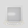 Kép DEZA négyzetes  alumínium/szatén üveg 230V LED G9 5W IP54