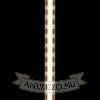 LED STRIP ORION LED szalag 5m 12V LED 50W 120° 3000K