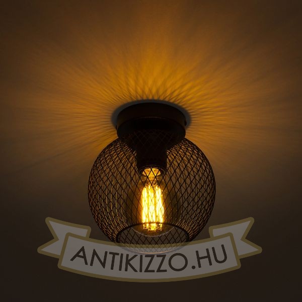 COSIR 18 mennyezeti lámpa fekete 230V LED E27 11W