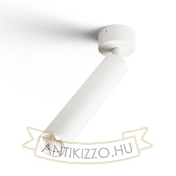 DARRIN R felületre szerelhető fehér  230V LED 6W 24°  3000K
