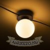 VELA V mennyezeti lámpa fekete opál üveg 230V LED G9 5x6W