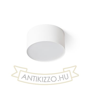 LARISA R 12 DIMM mennyezeti lámpa fehér 230V LED 10W 3000K 4000K 6500K