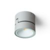 FLAVIO R felületre szerelhető világosszürke 230V LED 6W 110° IP54 3000K