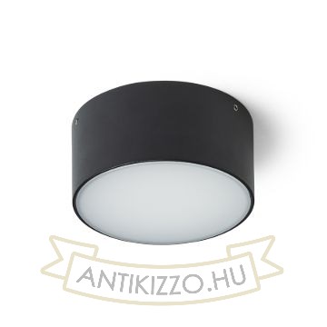 LARISA OUT 12 felületre szerelhető fekete  230V LED 10W IP65  3000K 4000K 5700K