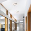 LANA 40 felületre szerelhető  dekoratív bükk/műanyag 230V LED 32W  3000K 4000K 6000K