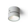 FLAVIO R felületre szerelhető világosszürke 230V LED 6W 110° IP54 3000K