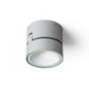 FLAVIO R felületre szerelhető világosszürke 230V LED 6W 110° IP54 3000K