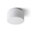 ARANA R 27 mennyezeti lámpa  opál üveg/króm 230V LED E27 15W IP44