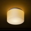 ARANA R 27 mennyezeti lámpa  opál üveg/króm 230V LED E27 15W IP44