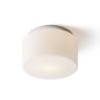 ARANA R 27 mennyezeti lámpa  opál üveg/króm 230V LED E27 15W IP44