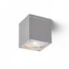 RODGE mennyezeti lámpa szürke  230V LED GU10 35W IP54