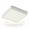 HUE SQ 22 DIMM mennyezeti lámpa fehér 230V LED 24W 3000K