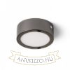 HUE R 9 mennyezeti lámpa fekete króm 230V LED 6W 3000K
