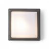 DELTA 215 felületre szerelhető antracit  230V LED E27 15W IP54