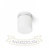 ESICA CYL mennyezeti lámpa króm 230V LED 6W IP44 3000K