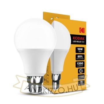 KODAK Max LED Izzó Globe A65 15W B22 270° 4000K (1350 lumen)